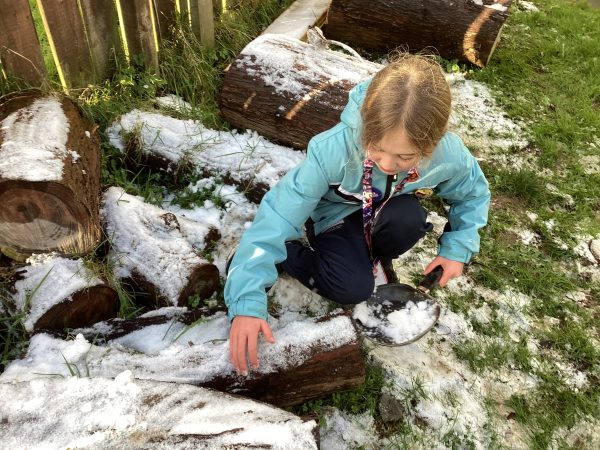 01B4C4CA-27AA-4F0A-9FCF-2383B19D80B1