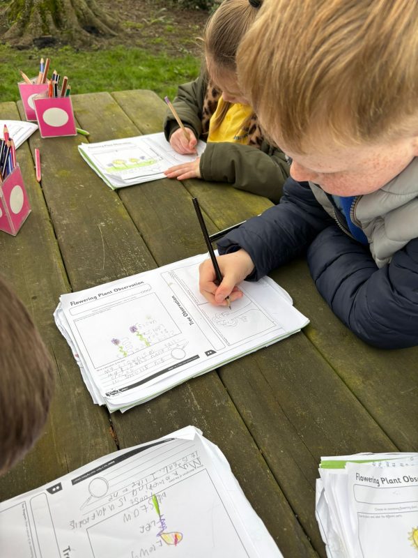 07defe22-a14b-4419-84e4-ee83dd4ba4df