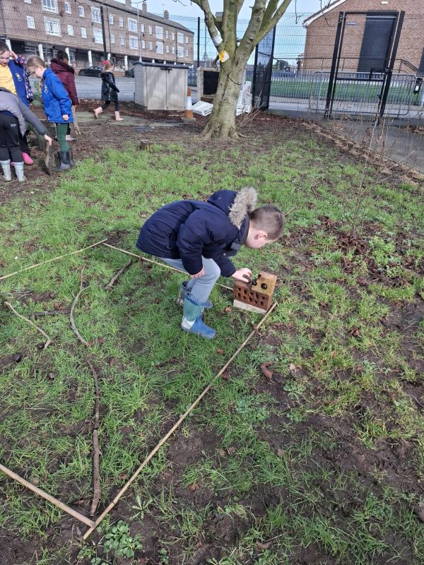 0e0d8e08-ae28-4885-8e1c-0515887030aa