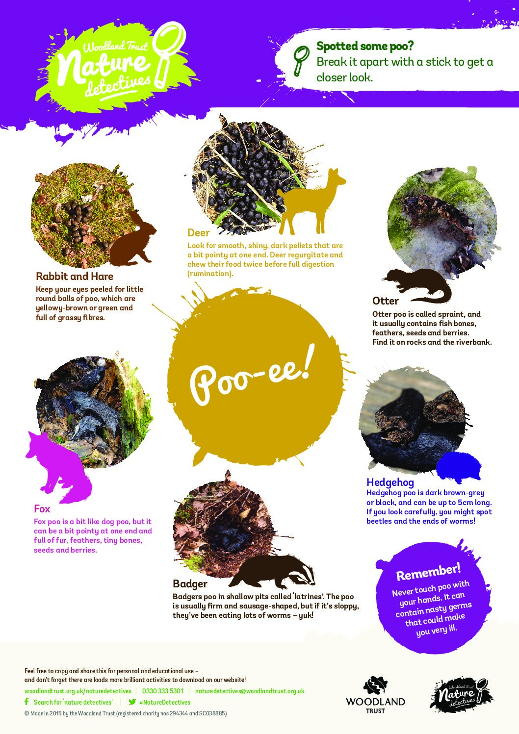 Animal Poo Id Sheet Forest Schools In