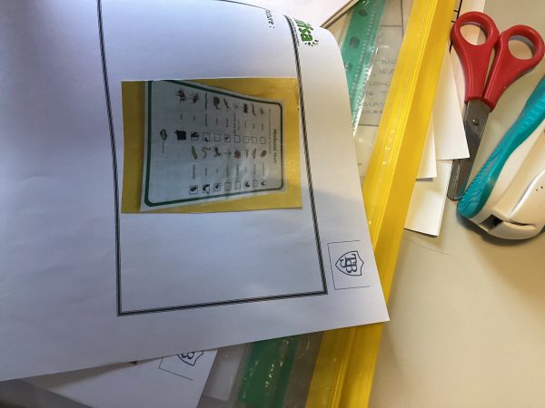 10-may-bug-hunt-b