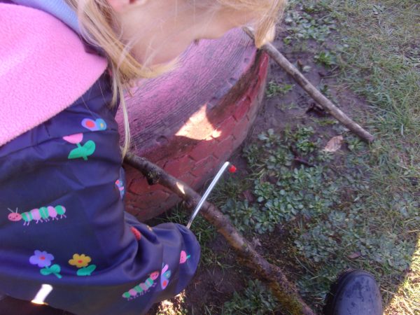 KODAK Digital Still Camera