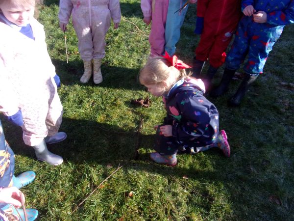 KODAK Digital Still Camera