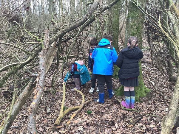 1603363E-7D3C-4158-9E9B-E6D266FC915D