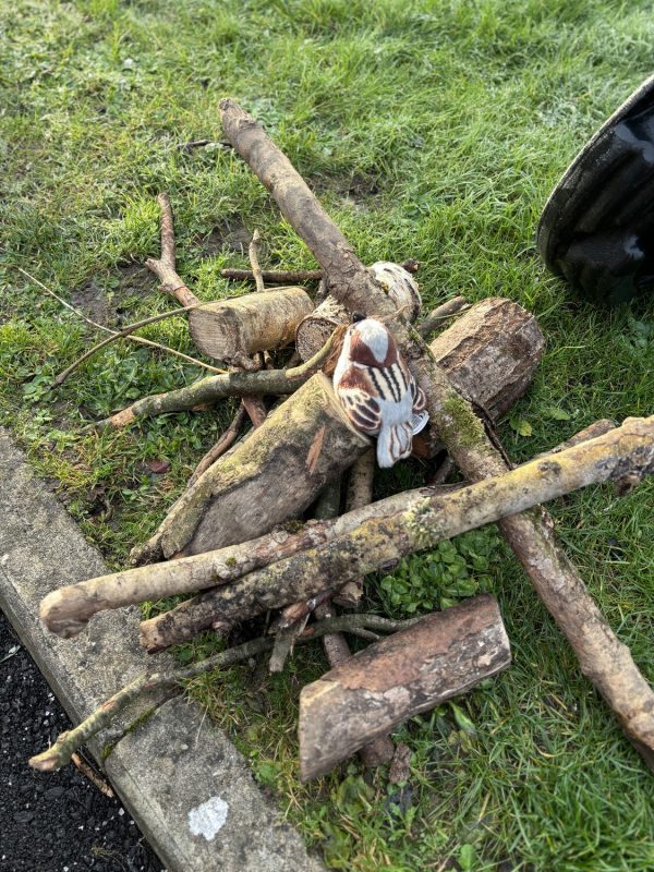 20241203113843_2_o_1ie64t6371tqr804ehs7r18hl1g