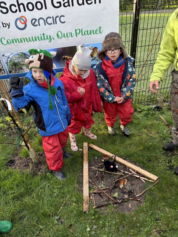 20241203114041_99_o_1ie64t6371n8tkvc1m2t4iq1bi41p