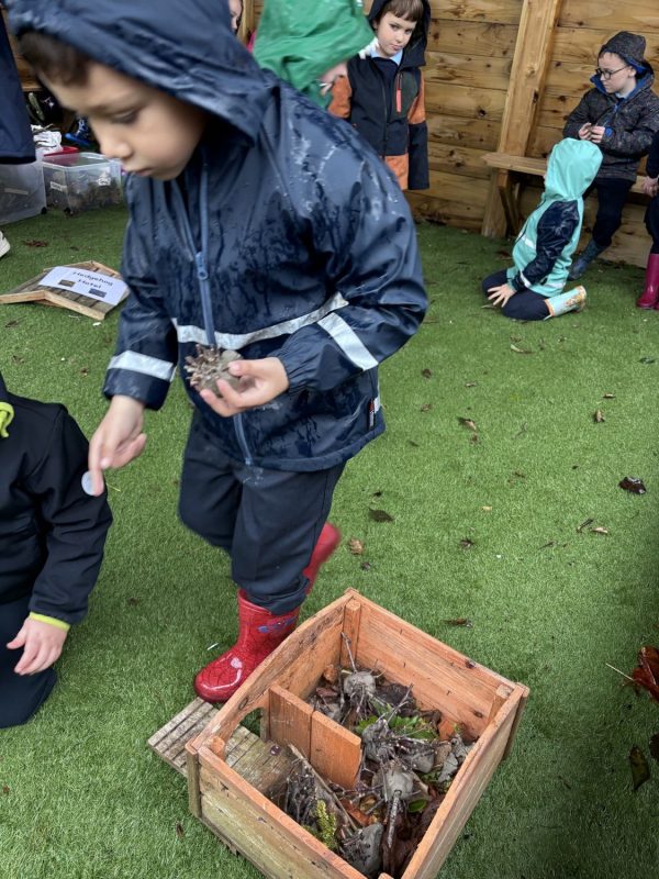 20251008080754_27_o_1j72ip7le1a37udr1eohn5cdso1s