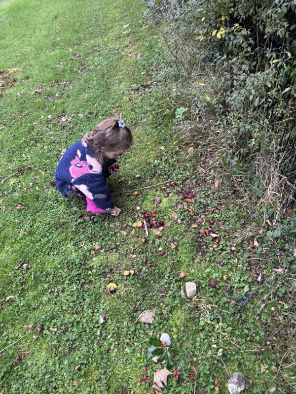 20251020072259_21_o_1j81da8ijh3n1pom1revg4c11sm13