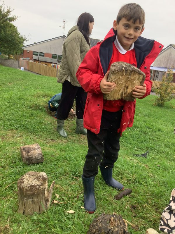 2608E4B1-FDAE-451B-88C3-4052C4F7323E