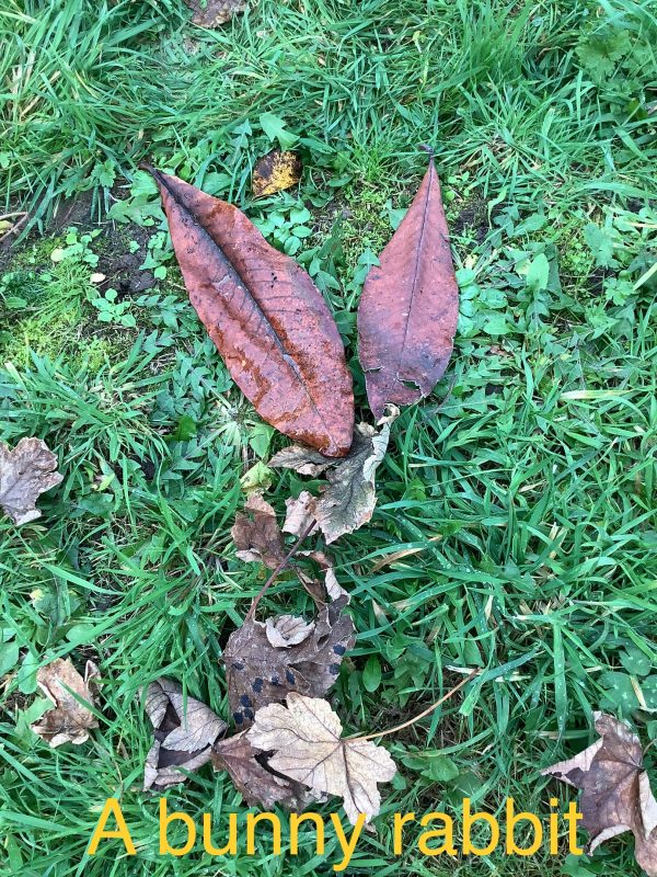 35EB9EA6-FED6-41CA-9D0E-B4ED91F4A38A