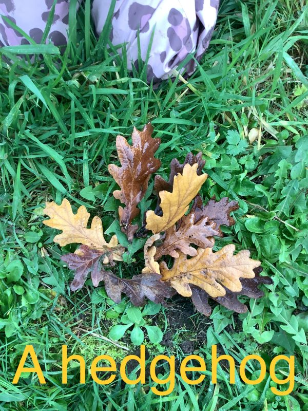 383BA13A-7651-4D1B-ABC5-622BEAA0BF04