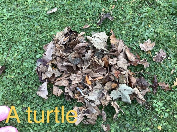 38FFBCB8-E2FD-4C25-82F6-8B6273A6844F