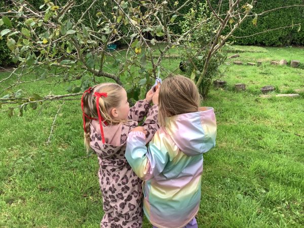 39F318F2-3AEB-4D90-A4BB-435C0064E9E4