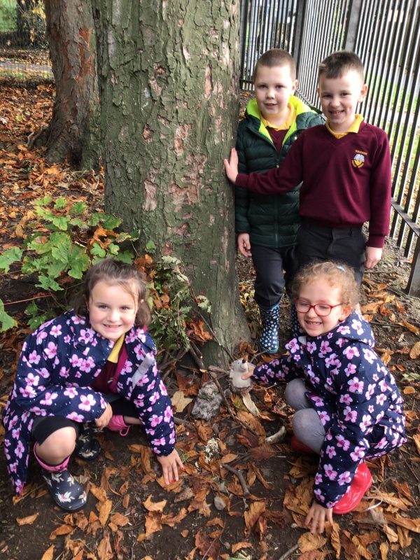 3EAD8ACA-1B8C-44CC-AE2D-0B9156008636