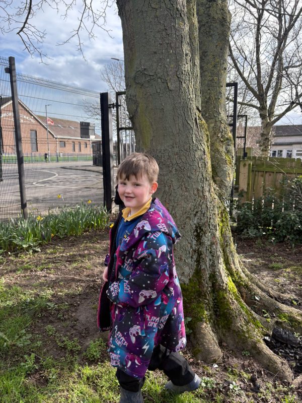 3cb2bd0f-dce4-4172-a47a-966248d36407