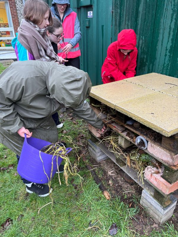 41604352-ee6b-49e7-a5a7-9359bee7ef9b1