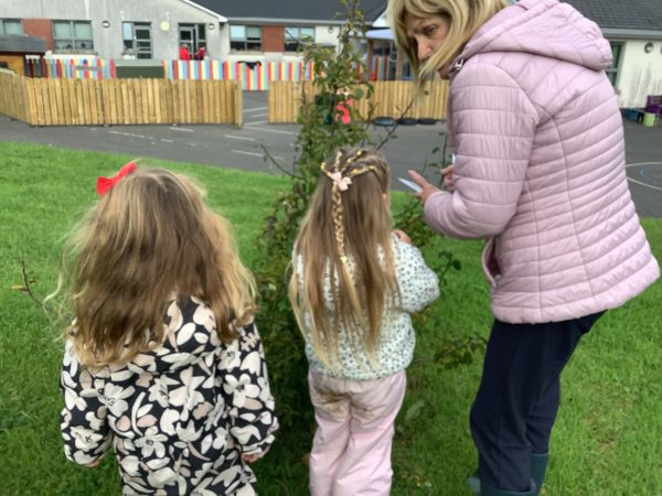 43DB7B7C-2A73-4CEF-B380-237EA658E777