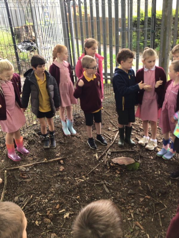 4F53A9F0-4597-40B2-AC1D-175376635918