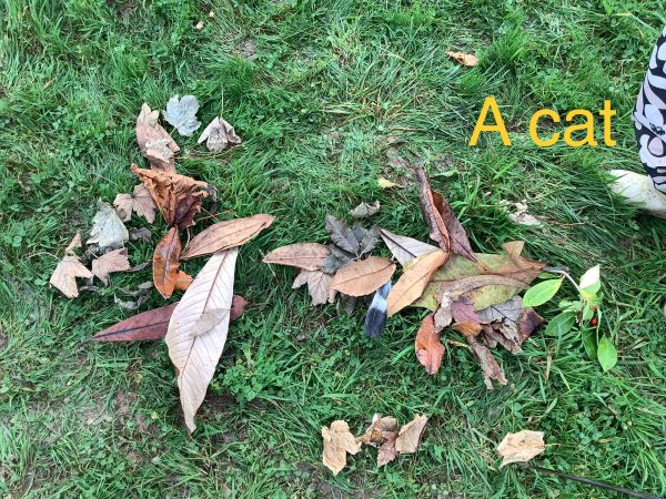 54437151-4AF7-4A27-85EC-388B1C515734