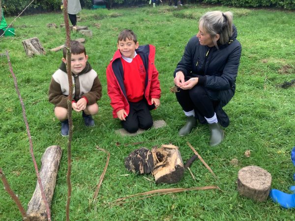 54F6529C-2FDE-4AC3-8DB1-DE47AAEB22C9