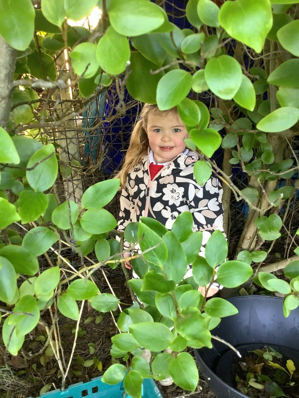 5D30B217-B966-40B3-9E3A-E6205FF7D44A