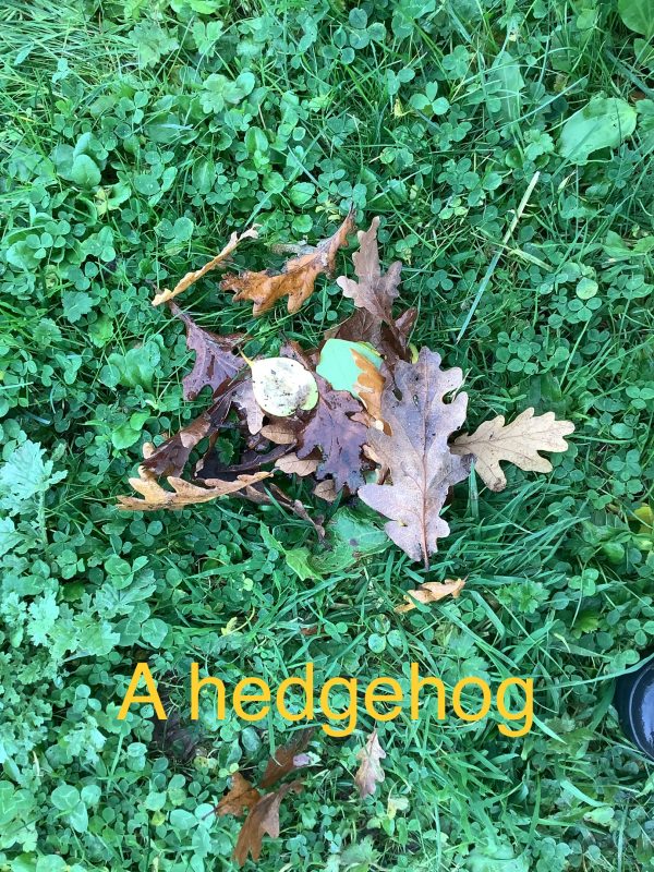 5FB1FFA4-8B53-45E3-A71C-99F9F87A6668