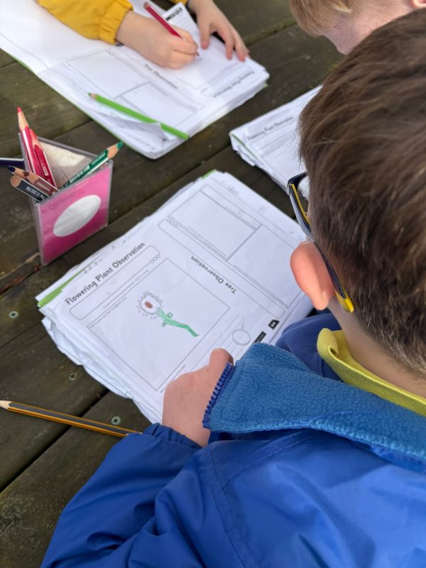 5a8a59b7-b191-40b0-a8b3-74c4eaaade59