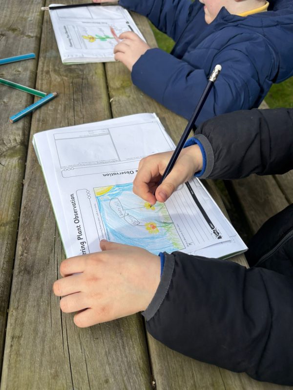 648bfcc9-7462-4a53-9eff-1d59dfc5064e