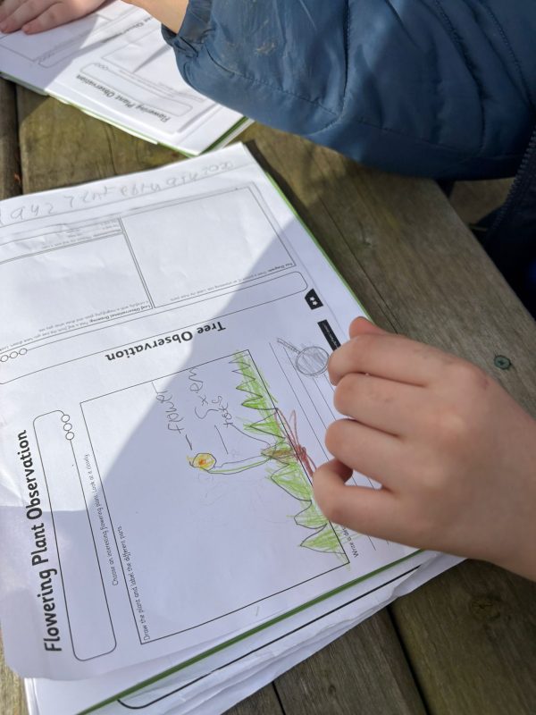 65c2a143-5122-46e6-8f94-78427ed3380d