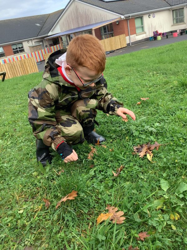 7269665B-055B-43F4-9EDC-D6C5343A8791