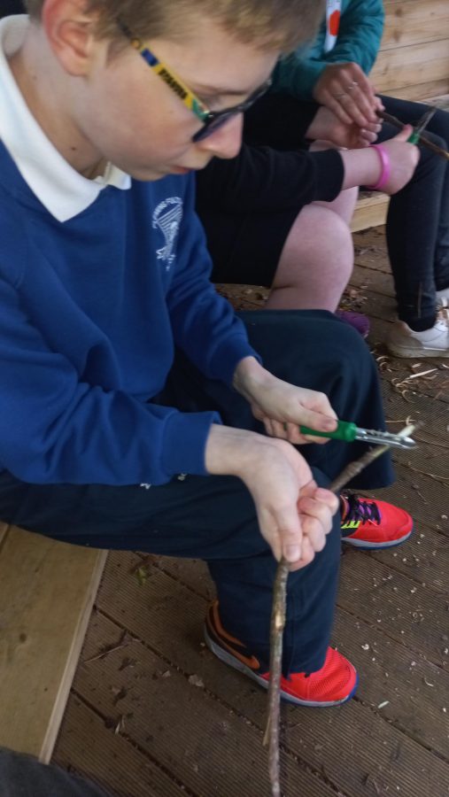 75e835db-9c78-403a-b122-2b537f5c5725-1_all_62381