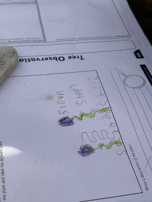 79fa3c83-7af1-4882-8038-44cc6f6ce1de