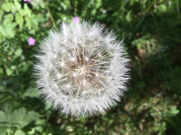 7C114008-7978-43FA-A2E0-F0F0B0348E17