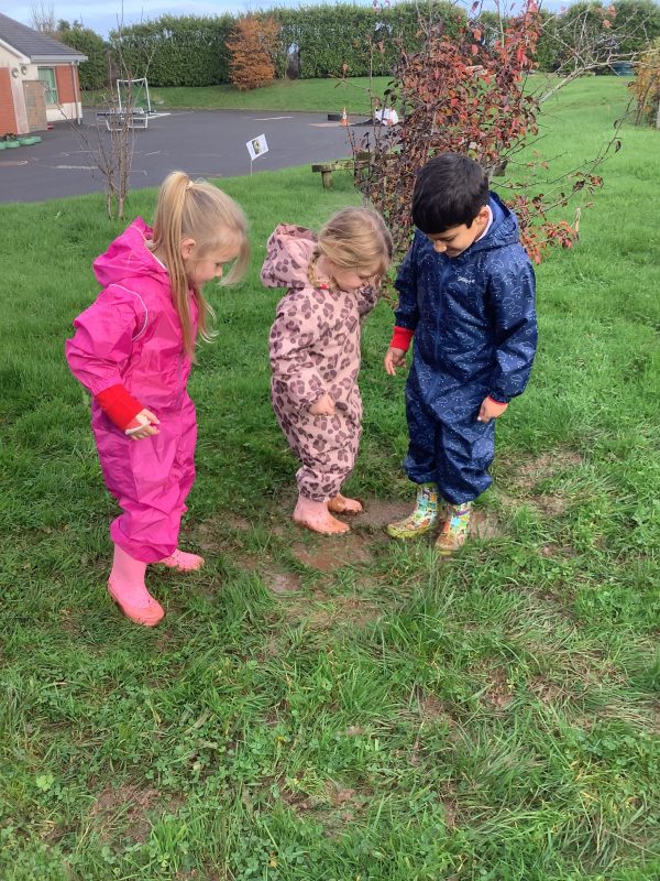 7F672F8E-918F-48F1-94E5-A7EA28C2DE8B