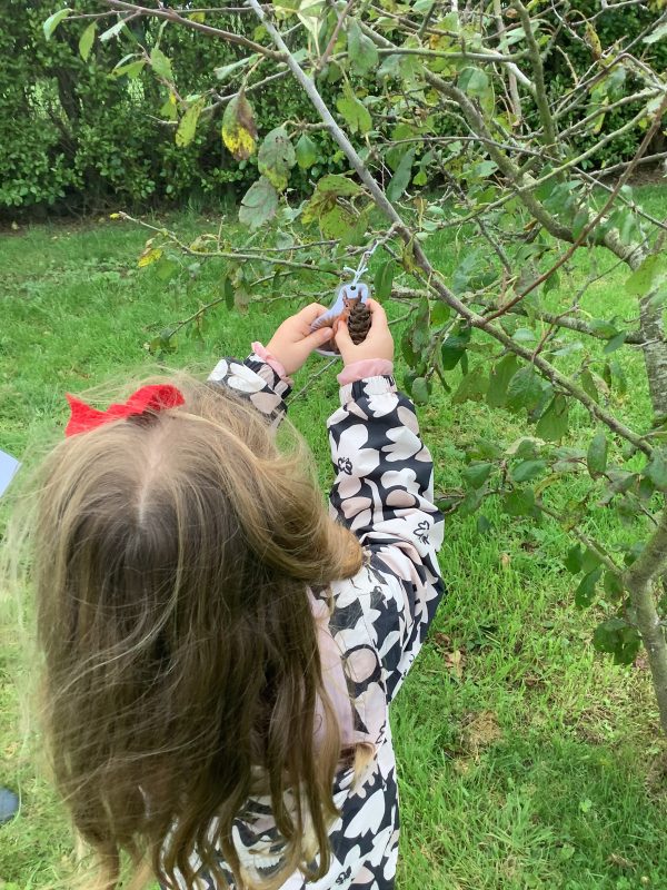 8701F9C1-B6E1-479C-991C-EE6F629A1BC8