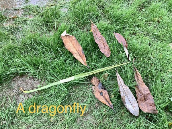 8833791D-AF79-40D3-8F85-302FD7F69246