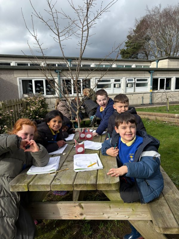 8b4e6cc3-5279-4d38-852d-c0167dd3655e