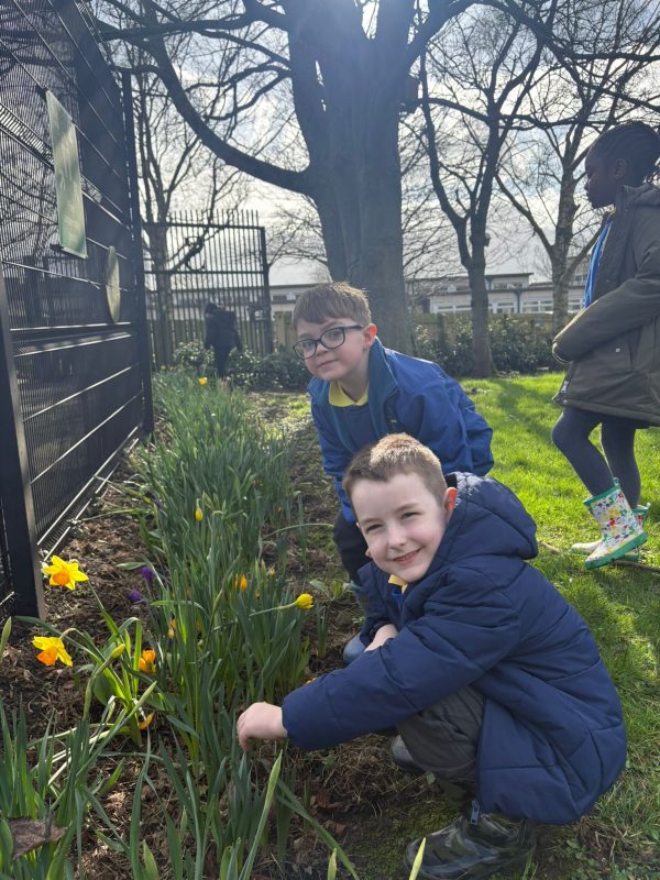 9185f362-4f67-4fb7-848b-aa678ccbf7631