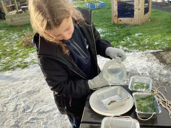 91993097-BE58-40D5-B9D2-45BF8D828637