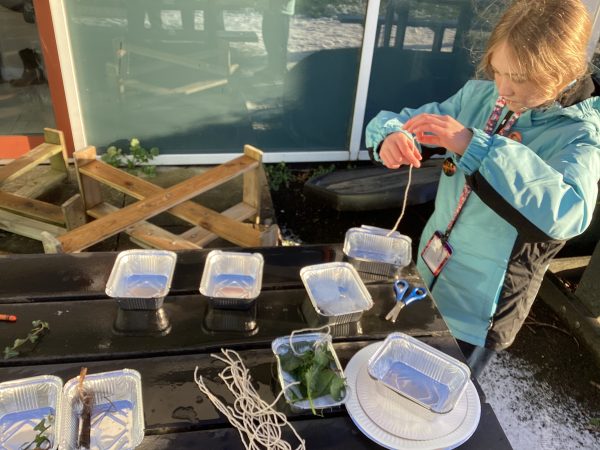 97834AD8-F374-4DCF-931B-3BF6EA409A5C