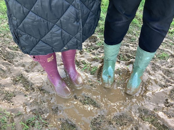 B0EEC508-9877-4F4F-8429-AFA15F5FEE84