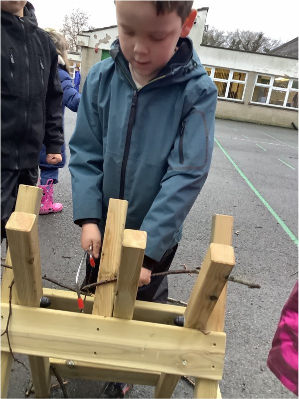 B5B93DF5-1E35-43C1-9ACE-F2CC6422BD131