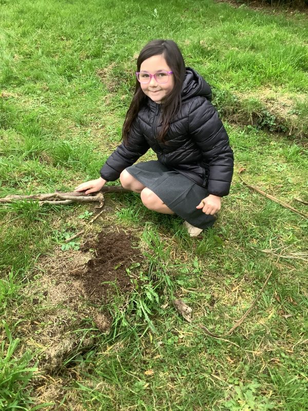 B631AB31-621F-4EFA-97BD-CAE05EA2ADE0