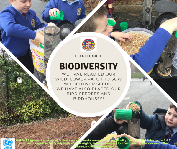 Biodiversity-1