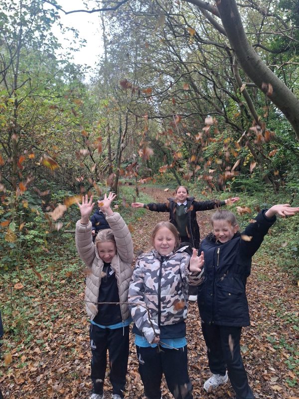 C34938A8-7186-4A7D-8287-D2EE0A9B923A