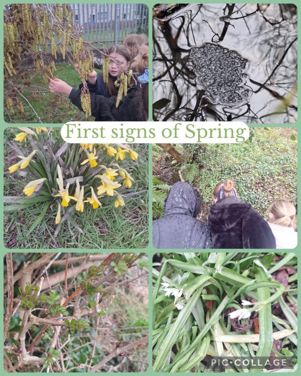 Collage_2026-02-23_15_03_22