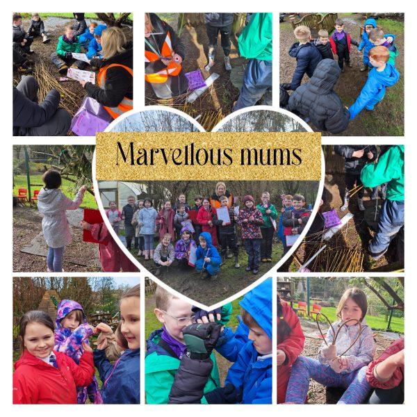 Collage_2026-03-18_17_59_08