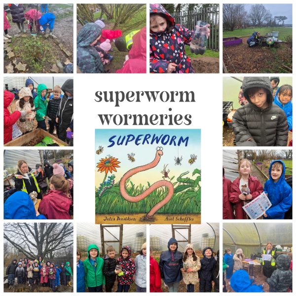 Collage_2026-03-18_18_11_561