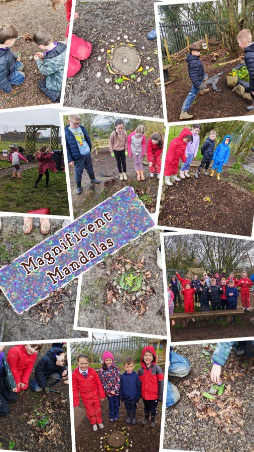 Collage_2026-03-29_22_22_28