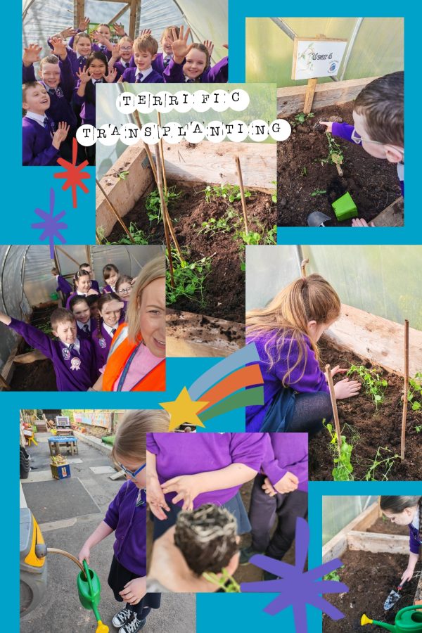 Collage_2026-03-29_22_24_27